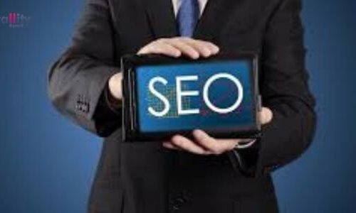 SEO Professional to Improve Website Ranking